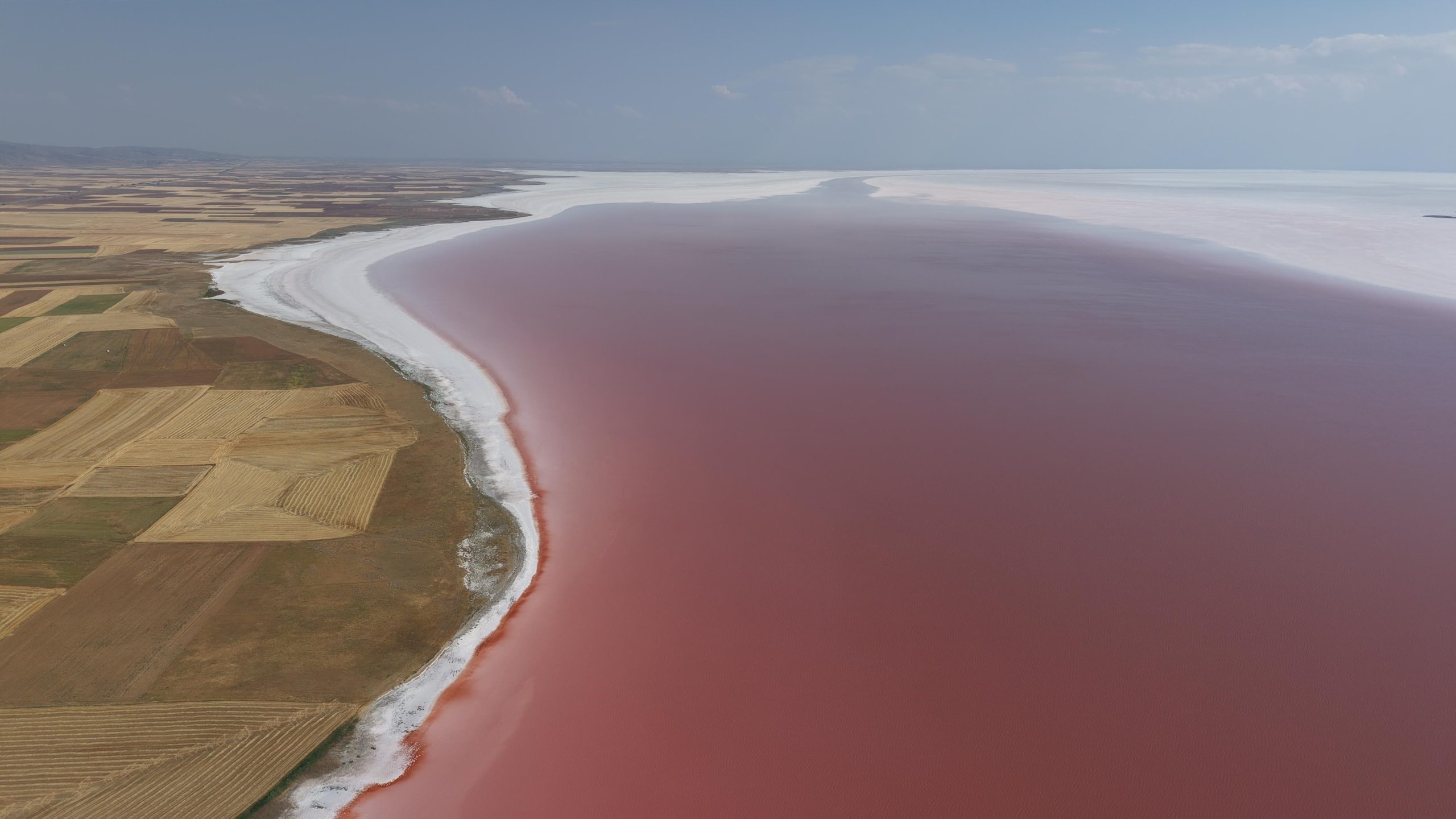 Tuz gölü neden pembe renge büründü? Flamingo cennetindeki değişimi uzman isim açıkladı