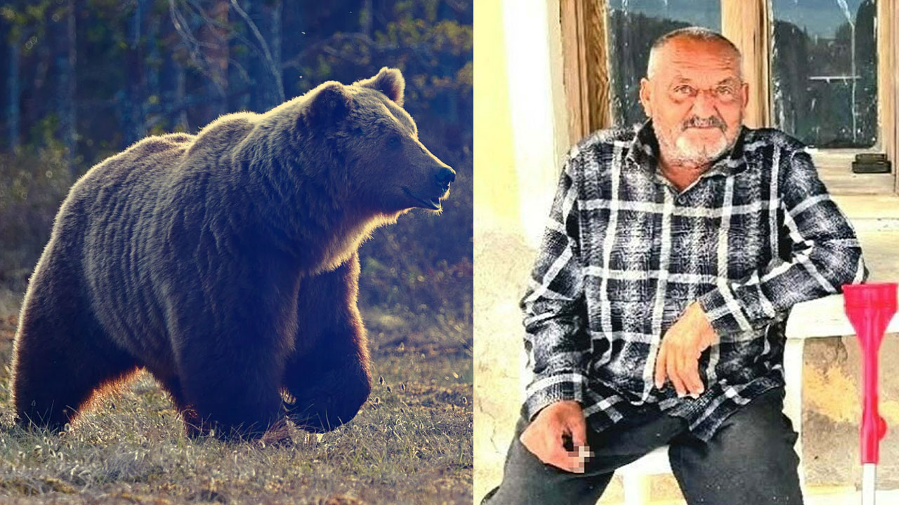 İzmir'de kan donduran olay! Evinin balkonunda saldıran ayı öldürdü