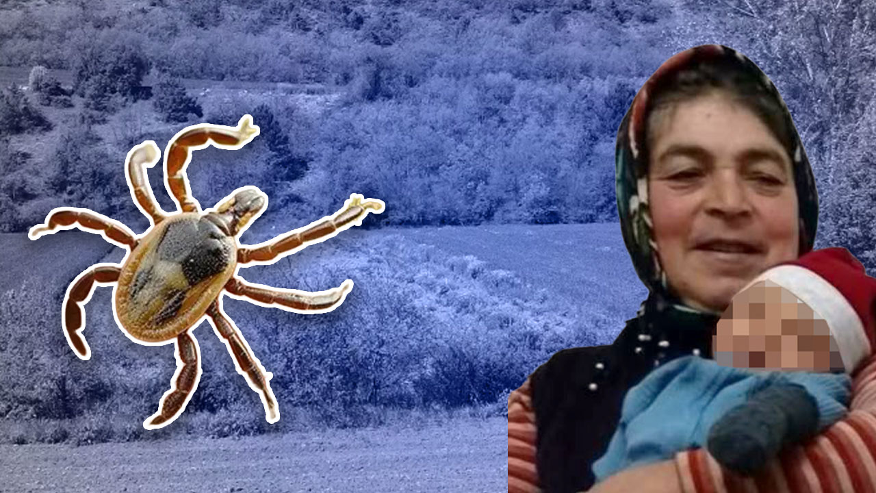Tarlada çalışan kadını kene öldürdü!