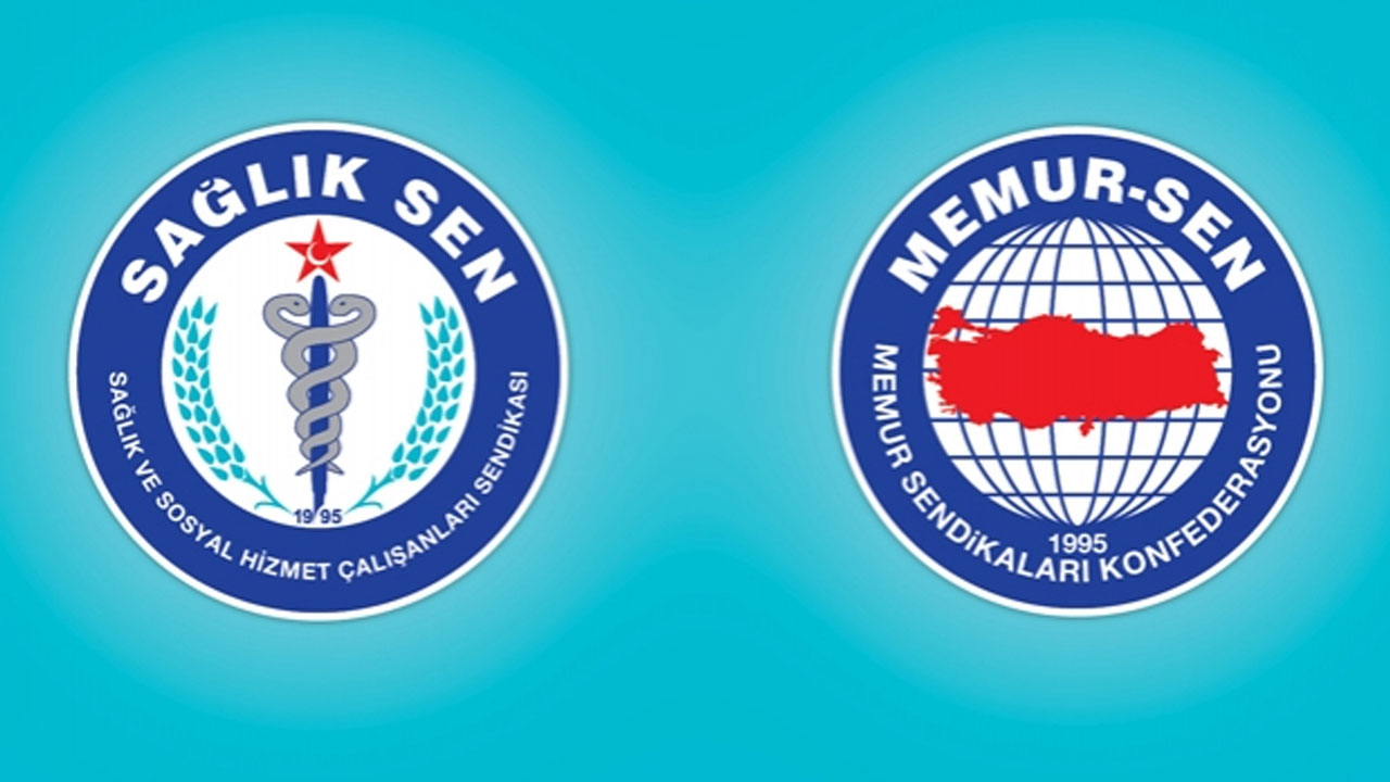 sendika13