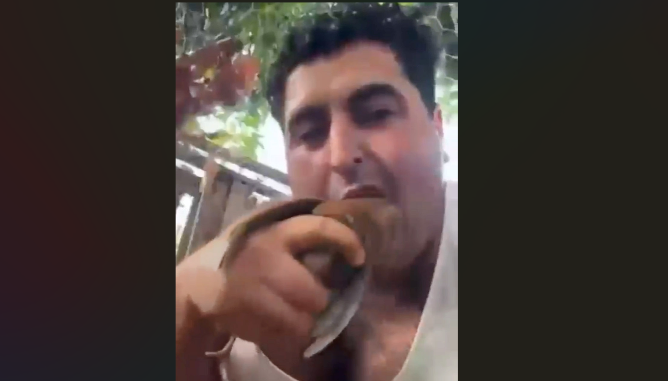 Kuşları öldürüp sanal medyada paylaşan şüpheli tutuklandı