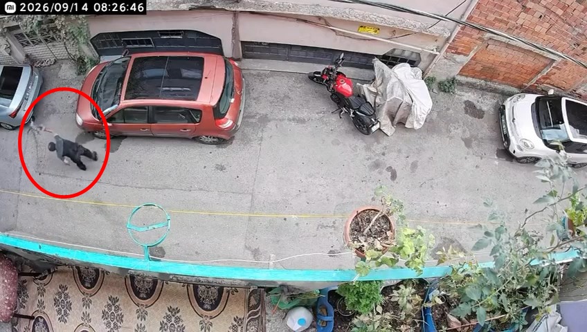 Kucağındaki kediye şiddet uyguladığı anlar kamerada