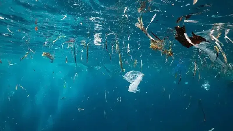 Mikroplastik kirliliği yapan işletmelere ceza yağdı!