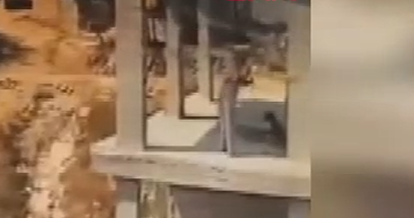 İnşaatta yatan köpeğe sopayla şiddet uyguladı; o anlar kamerada