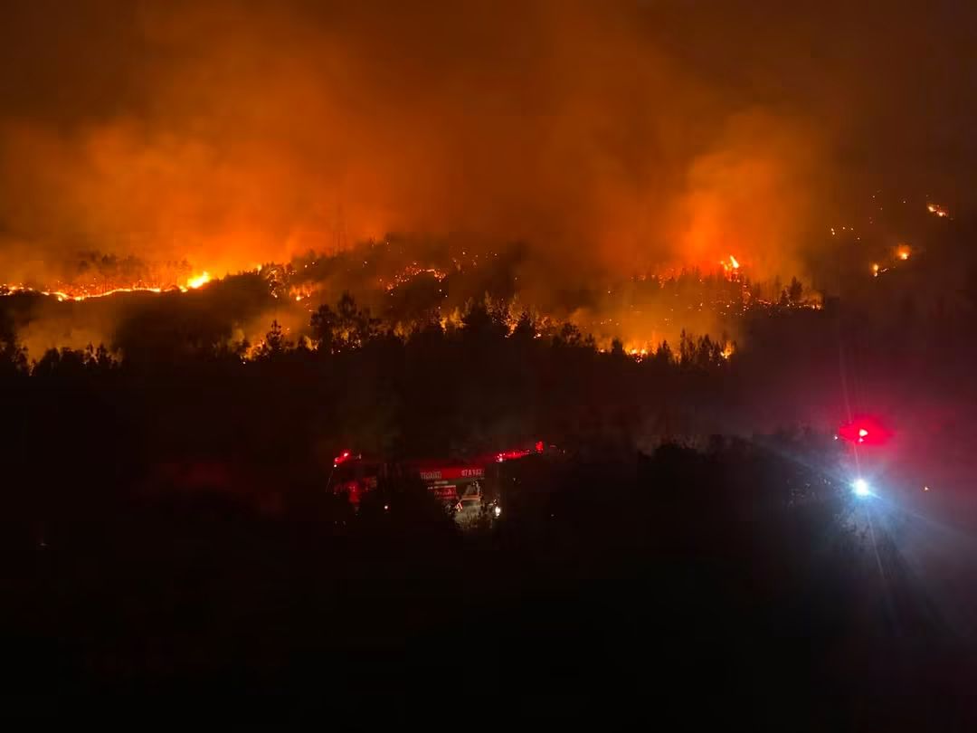 Antalya'da büyük yangın! Havadan ve karadan müdahale ediliyor
