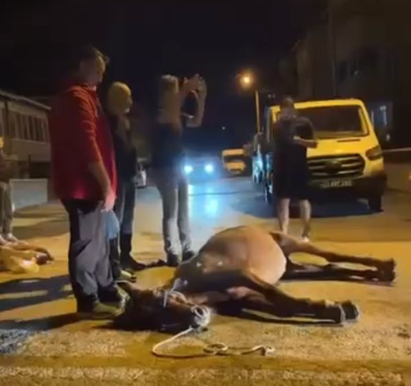 Ata şiddet uygulayan 2 kişi gözaltına alındı!