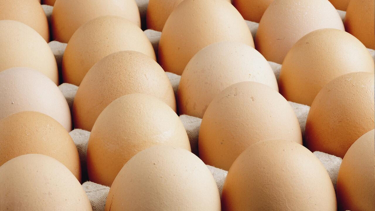 ABD'de Salmonella Alarmı! Yumurtalarda Enfeksiyona Rastlandı