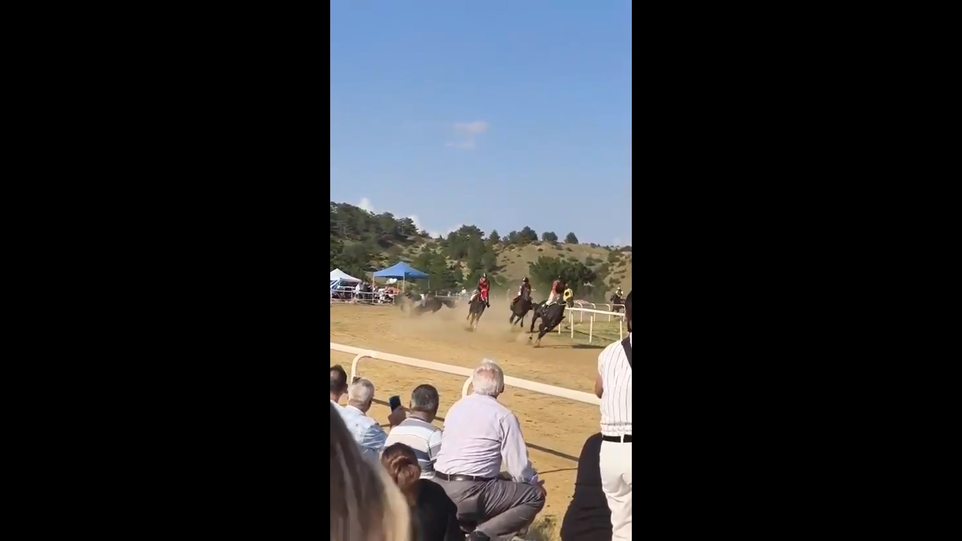 At yarışında başıboş at yarış atıyla çarpıştı! Jokey yaralı 2 at öldü