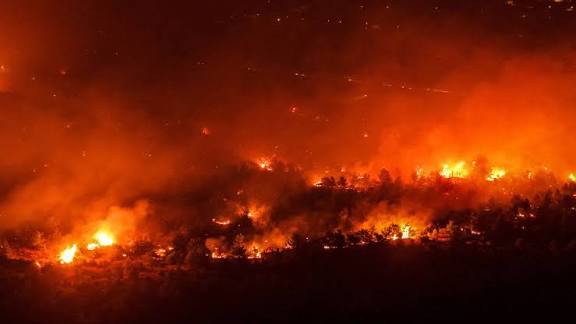 Antalya'da orman yangınlarını kasten çıkaran 6 kişi yakalandı!
