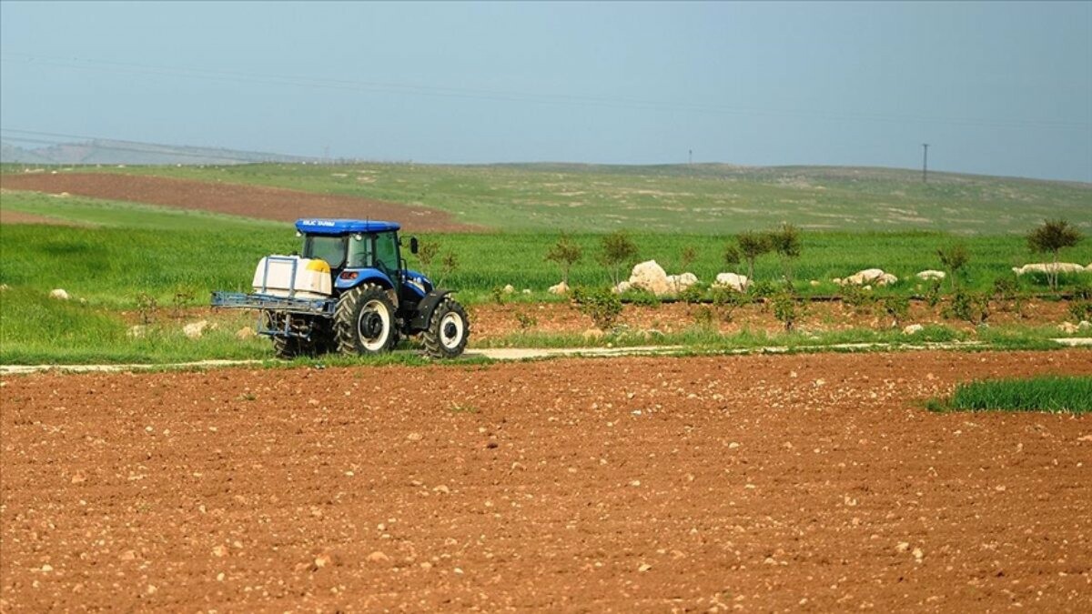 Çiftçiye 688 Milyon 200 Bin Liralık Nakit Desteği! Ödeme Bugün Hesaplarda