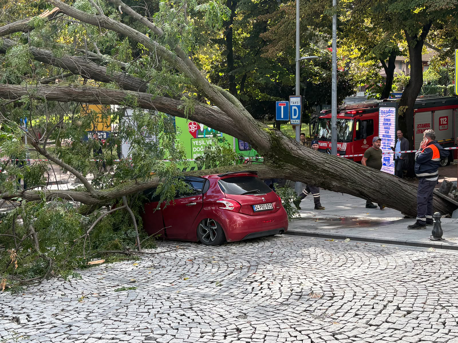 Şişli'de park halindeki otomobilin üzerine ağaç devrildi; cadde trafiğe kapatıldı