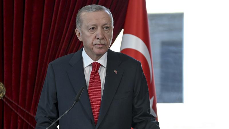 Cumhurbaşkanı Erdoğan'dan '30 Ağustos' mesajı