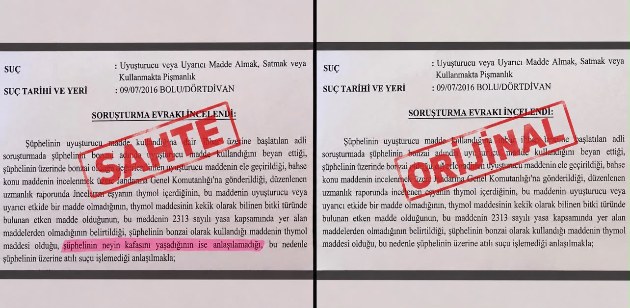 ‘Neyin kafasını yaşadığı anlaşılamadı’ ifadeli savcılık kararı iddiasına soruşturma