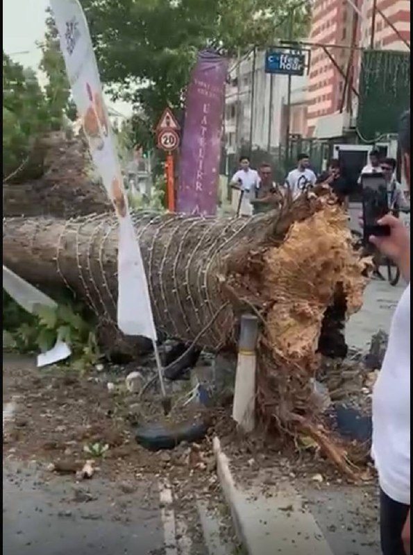 Fırtına yıktı geçti!