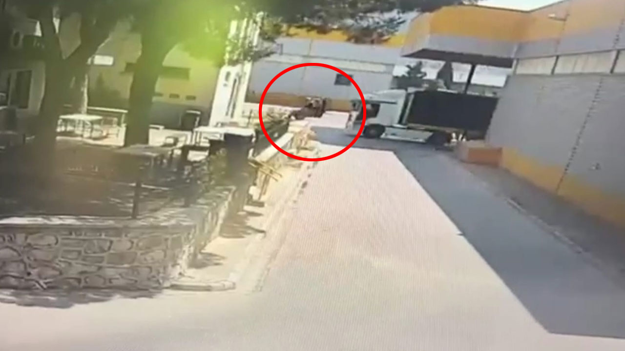 Forklift, TIR'ın altında kaldı!! Kadın sürücü kadın öldü