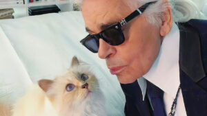 Karl Lagerfeld’in kedisinin 7 yıllık miras mücadelesi