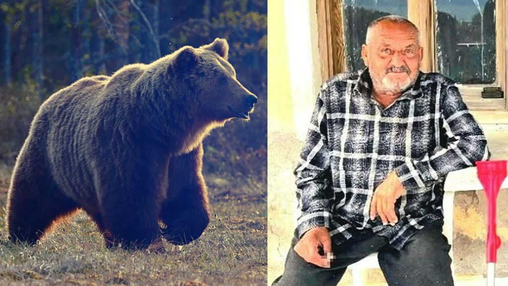 İzmir’de kan donduran olay! Evinin balkonunda saldıran ayı öldürdü